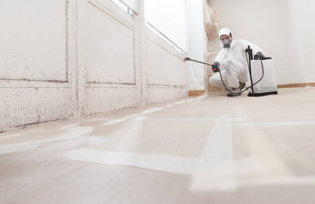 24/7 Emergency Attic Mold Removal experts in Falls Church, VA